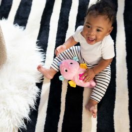 Jouet pour bébé Sea Dreams Seahorse