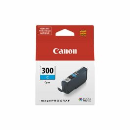 Cartouche d'encre originale Canon 300 Precio: 20.4999996. SKU: S55082918