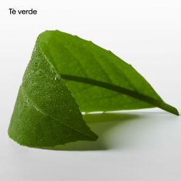 Parfum Unisexe Calvin Klein CK Ck One Essence 100 ml