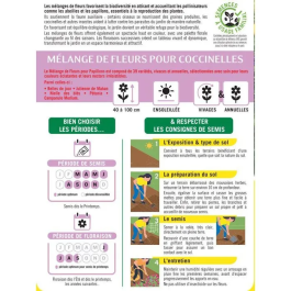 BHS - Mélange de fleurs pour attirer coccinelles et pollinisateurs - 15 variétés annuelles et 7 vivaces - 230 g