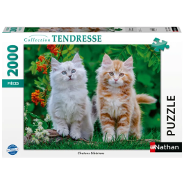 Nathan 12001868 - Puzzle 2000 pièces, Chatons Sibériens - À partir de 14 ans - Collection Tendresse - Qualité supérieure Precio: 49.884. SKU: B1GPXNRA5N