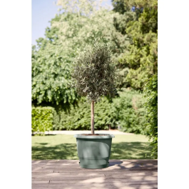 ELHO Pot de Fleur Amiga Rond 55 Vert pour Extérieur, 55 L, Ø 55 x H 51 cm, 100% Recyclé, Design Élégant pour Plantes