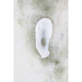 Crème antirides Institut Esthederm Active Repair 50 ml