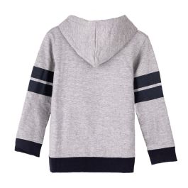 Sweat à capuche enfant Harry Potter Gris 12 ans