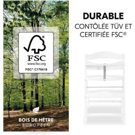 Chaise haute - HAUCK - ALPHA+B - Evolutive - De 6 mois a 90 kg - Bois FSC - Harnais 5 points - Blanc