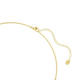 Bracelet Femme Swarovski 5741584 Multicouleur