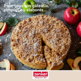 Zenker Moule à Manqué en Silicone Fibre de Verre Noir Ø 25 cm pour Gâteaux Croustillants