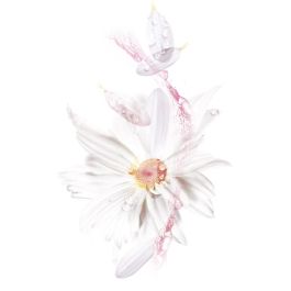 Garnier SKINACTIVE HYDRABOMB Masque Facial Hydratant Calmant pour Peaux Sèches-Sensibles, 1 Unité