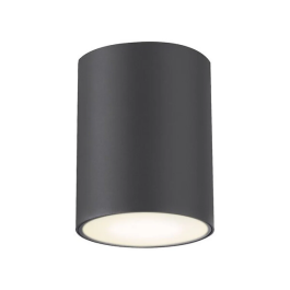 RABALUX Plafonnier d'extérieur Zombor 1xGU10 IP54 RAB-7819