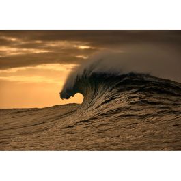 Monture de Lunettes Femme O'Neill MOD. ONB-4030 53172