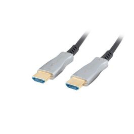 Câble HDMI Lanberg CA-HDMI-20FB-0400-BK Noir 40 m