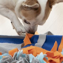 Tapis Olfactif pour Animaux de Compagnie Fooland InnovaGoods