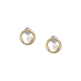 Boucles d´oreilles Femme Skagen SKJB1009710 Precio: 84.8900004. SKU: B13424XSHF
