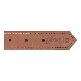 Collier pour Chien Gloria Oasis Marron (1,2 x 35 cm)