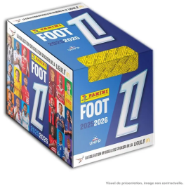 Panini - Hello Kitty & Friends - Boîte Collectionneur de 24 Pochettes (144 Cartes Premium) - Cartes à Collectionner Precio: 100.86. SKU: B1JGT23PZA