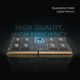 Mémoire RAM Team Group TED532G5600C46A-S01