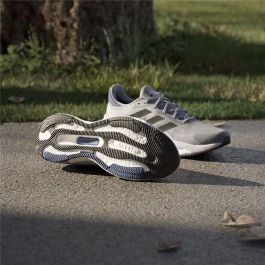 Chaussures de Running pour Adultes Adidas Solarcontrol 2 Gris
