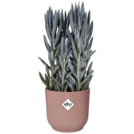 ELHO Pot de fleurs Rond VIBES - Ø25 x H23cm - Plastique - Rose poudré