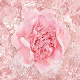 Guerlain La Petit Robe Noire L'Eau Rose Edp Vapo 100 mL