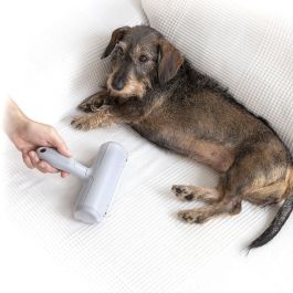 Rouleau Anti-poil d’Animaux Rellair InnovaGoods