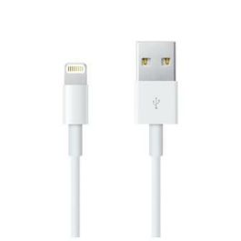Câble Lightning Apple ME291ZM/A Blanc 50 cm (1 Unité)
