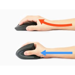 EQUIP 245110 Souris Ergonomique Optique Sans Fil USB Droitier Noir 1600 DPI