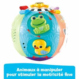 Jeu en bois Vtech Baby (1 Unité)