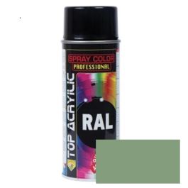 TOP ACRYLIC Spray Acrylique Mat RAL-6021 400ml Vert Pâle Precio: 8.4999996. SKU: B1JWHP29G9