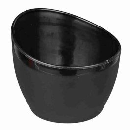 Bouteille Trixie Acier inoxydable Plastique 300 ml