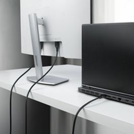 Câble VGA Startech DP14MDPMM10F Noir 3 m