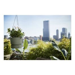 Elho Pot suspendu Greenville 24 - Vert feuille - Extérieur - Ø 23.9 x H 20.3 cm