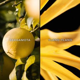 Guerlain Terracotta Le Parfum Edt Vapo 75 mL