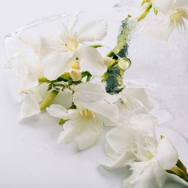 Loewe Solo Atlas Eau de Parfum Vaporisateur 100 ml