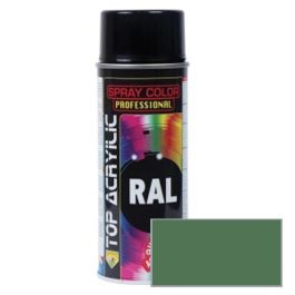 TOP ACRYLIC Peinture Acrylique V/Reseda Ral-6011 400Ml Spray Precio: 8.4999996. SKU: B18PCMTHVN