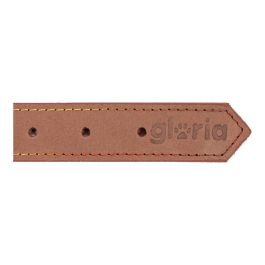 Collier pour Chien Gloria Oasis Marron (50 x 2,1 cm)