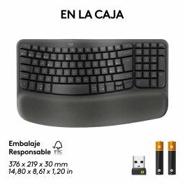 clavier et souris Logitech Graphite Acier Espagnol Qwerty