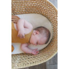 Tineo Matelas Poussette 72 x 32 cm, Antiacariens, Antibactérien, Antimicrobien, Housse Déhoussable, Fabriqué en France