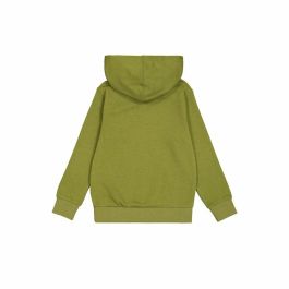Sweat à capuche homme Champion Vert