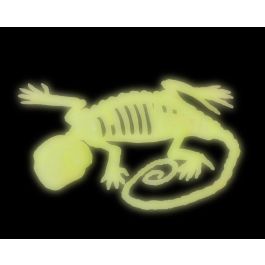 Décor Squelette Lézard Halloween Brille dans le Noir Figurine Macabre