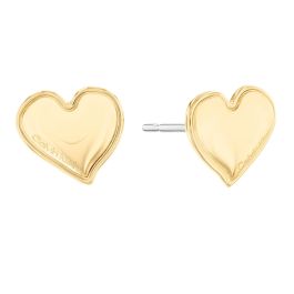 Boucles d´oreilles Femme Calvin Klein 35000302 Argent 925 Doré Precio: 88.5. SKU: B1E69KP2BJ