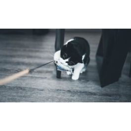 Aime Jeu pour chat Canne à pêche AIM3281019014395 Bâton bois Poisson 15 cm