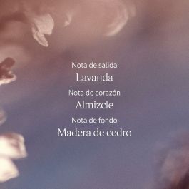 Parfum Femme L'Occitane En Provence LAVANDE 50 ml