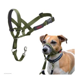 Muselière Company of Animals FOREST Vert Taille 1