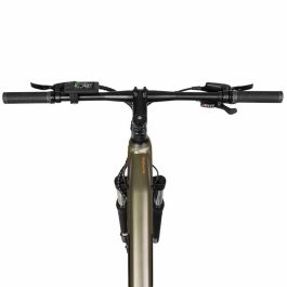 Vélo Électrique Cecotec Supreme 250 W 29"