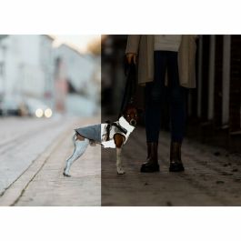 Manteau pour Chien Trixie Gris S