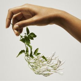 Parfum Femme Tommy Hilfiger TOMMY GIRL Tommy Girl 30 ml