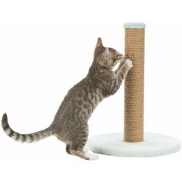 Grattoir pour Chats Trixie Junior Menthe Ø 7 cm 42 cm