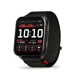Montre intelligente GARMIN 010-02980-02 Noir Ardoise 2"