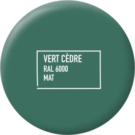 Ripolin - Peinture multi-supports mat vert cèdre RAL 6000 - Application sur bois, métal, béton, PVC - Résiste aux UV et intempéries - 2 litres