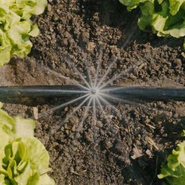 Gardena Kit de démarrage pour potagers jusqu'à 60 m² - 13450-20